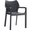 FURNLINK Diva Chair