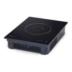 Dipo DCR23 Drop-in Induction Cooker