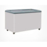 Exquisite Chest Freezer (Flat Glass) SD450