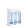 Williams HP3GW Pearl - Three Door White Colorbond Upright Display Refrigerator