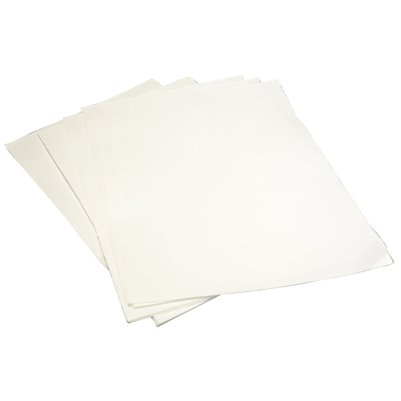 Frymax  Loaded filter sheets pack of 100 - AF-FEDLG20