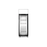 Skope  SKFT650N-AC 1 Glass Door Upright Display or Storage Freezer, Lit Sign