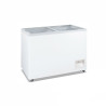 Thermaster Heavy Duty Chest Freezer with Glass Sliding Lids - WD-400F