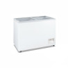 Thermaster Heavy Duty Chest Freezer with Glass Sliding Lids - WD-620F