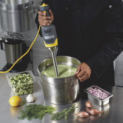 Hamilton Beach Commercial IMH0228 Stick Blender