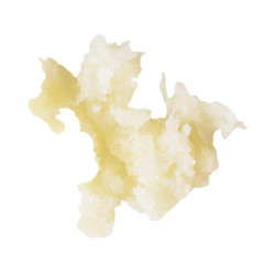 Robot Coupe Grate - 0.7 mm (Horseradish Paste) - Essential Series
