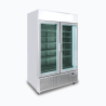 Bromic GM1100LS-NR Upright Display Fridge - 1082L - 2 Door - Flat Glass - Lightbox - Silver