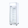 Bromic UF0500LF Upright Display Freezer - 444L - 1 Door - Flat Glass - Lightbox