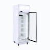 Bromic UF0500LF Upright Display Freezer - 444L - 1 Door - Flat Glass - Lightbox