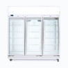 Bromic UF1500LF Upright Display Freezer - 1507L - 3 Doors - Flat Glass - Lightbox