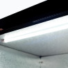 Bromic BB0200GD-NR-1 Back Bar Fridge - 190L - 2 Doors - Hinged
