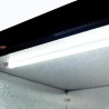 Bromic BB0330GD-NR-1 Back Bar Fridge - 307L - 3 Doors - Hinged