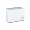 Heavy Duty Chest Freezer with Glass Sliding Lids - WD-200F