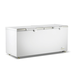 Thermaster 750L Chest...