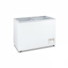 Thermaster heavy Duty Chest Freezer with Glass Sliding Lids - WD-620F