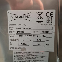 Used Everlasting BCE0005 Blast Chiller 5 Tray - ST26UK164