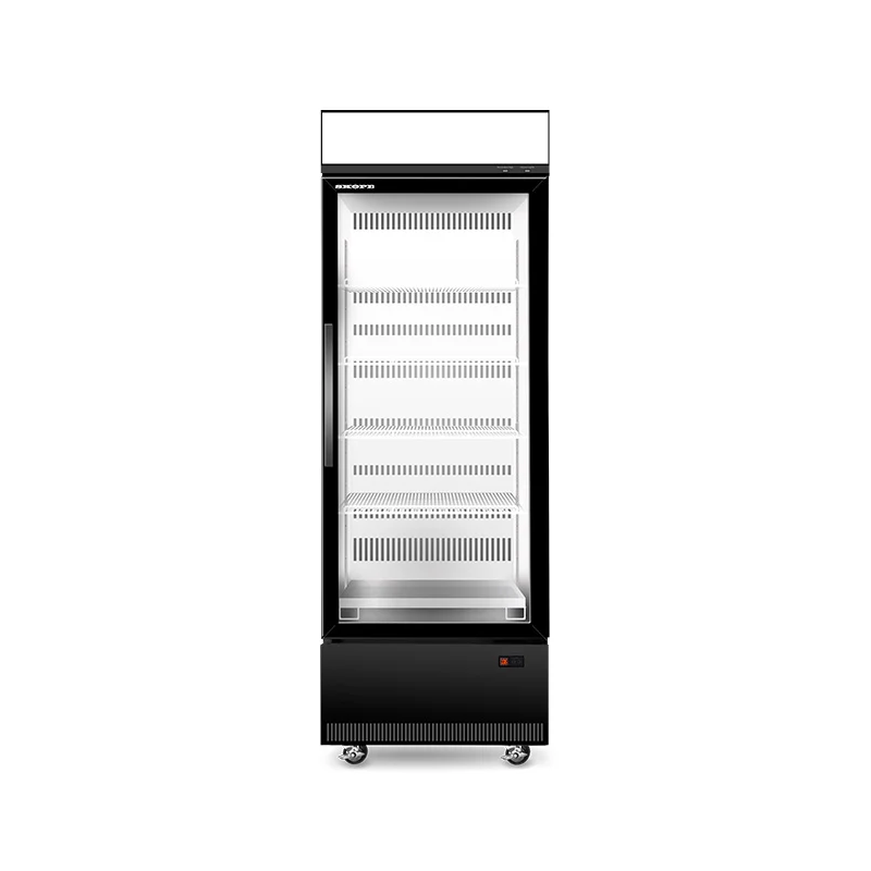 Skope EziCore BCE600N 1 Glass Door Display or Storage Fridge