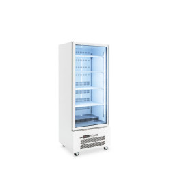 Quartz Star - One Door White Colorbond Upright Display Refrigerator