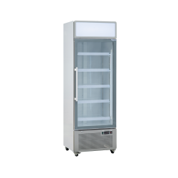 EXQUISITE - DC440P - ONE GLASS DOOR UPRIGHT FRIDGE