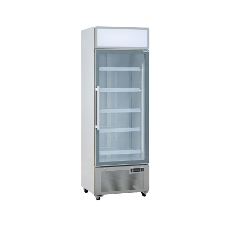 EXQUISITE - DC440P - ONE GLASS DOOR UPRIGHT FRIDGE