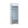 EXQUISITE - DC440P - ONE GLASS DOOR UPRIGHT FRIDGE