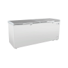 Exquisite ESS660H Stainless Steel Top Storage Chest Freezers