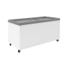 Exquisite Chest Freezer (Flat Glass) SD650