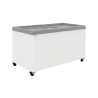 Exquisite Chest Freezer (Flat Glass) SD450