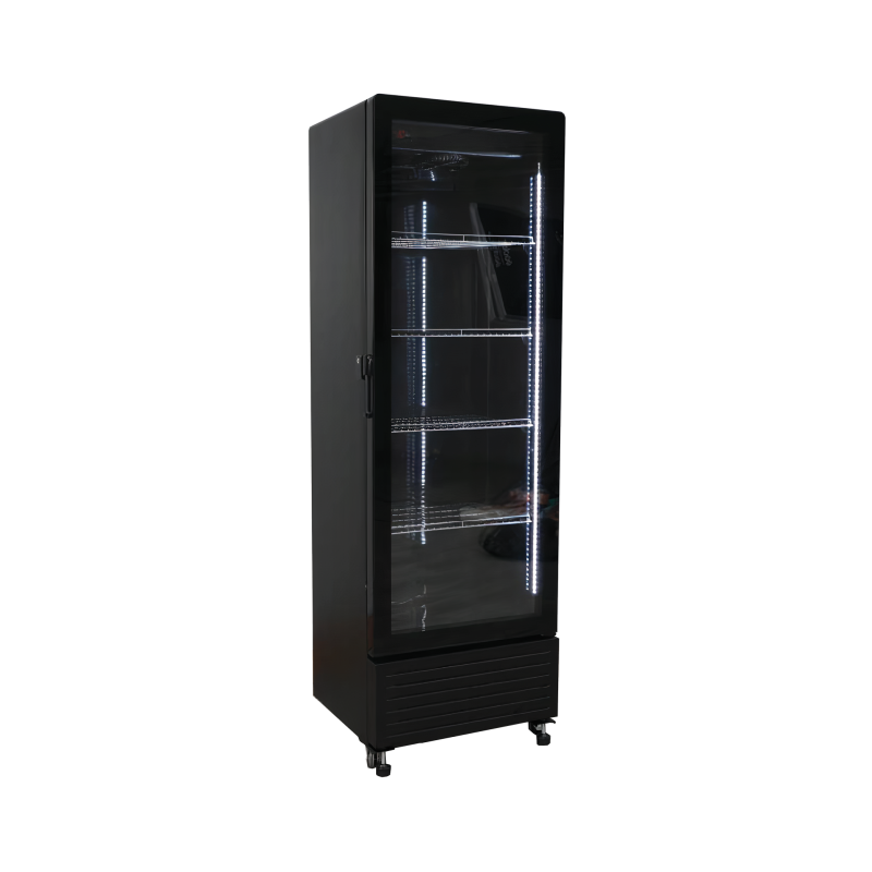 EXQUISITE - DC360 - ONE GLASS DOOR UPRIGHT FRIDGE