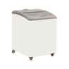Exquisite Curved Glass Chest Freezers SD151
